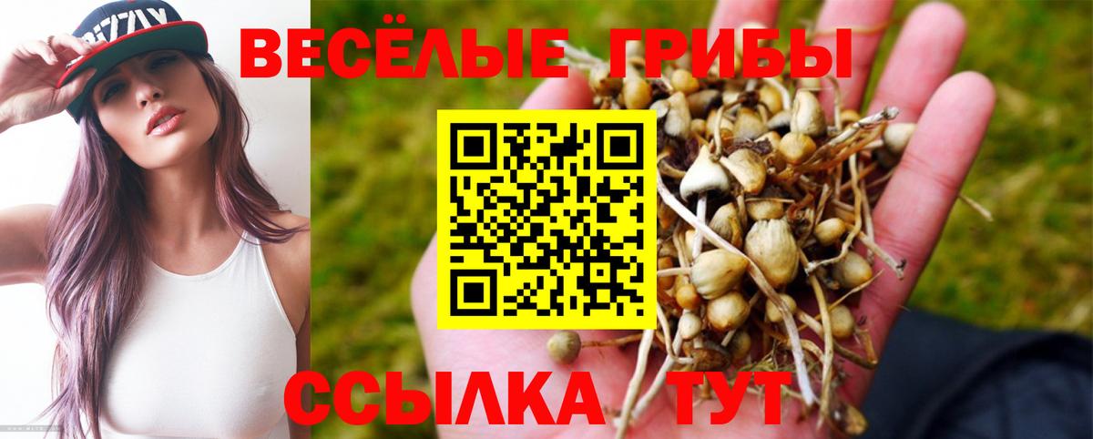 Галлюциногенные грибы мухоморы  Вход с VPN  Псилоцибиновые грибы MAGIC MUSHROOMS  Кудымкар 